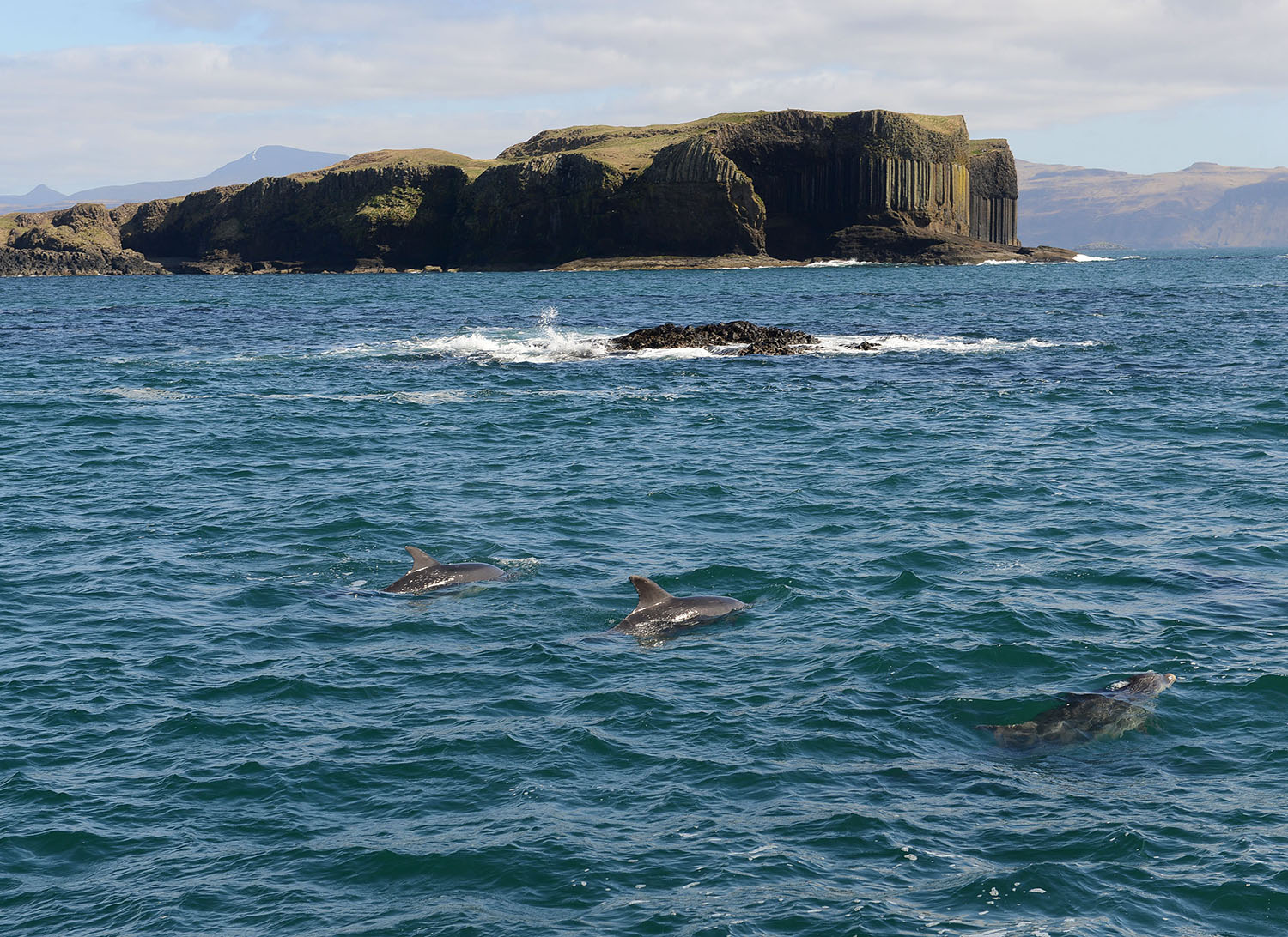 staffa tours from ulva