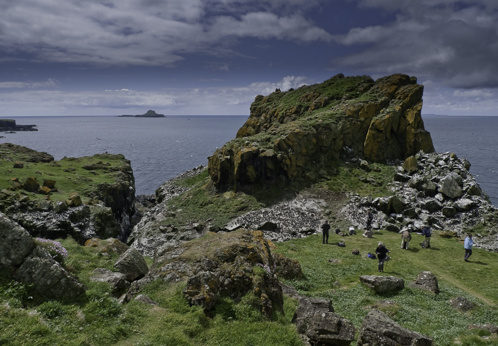 staffa tours from tobermory